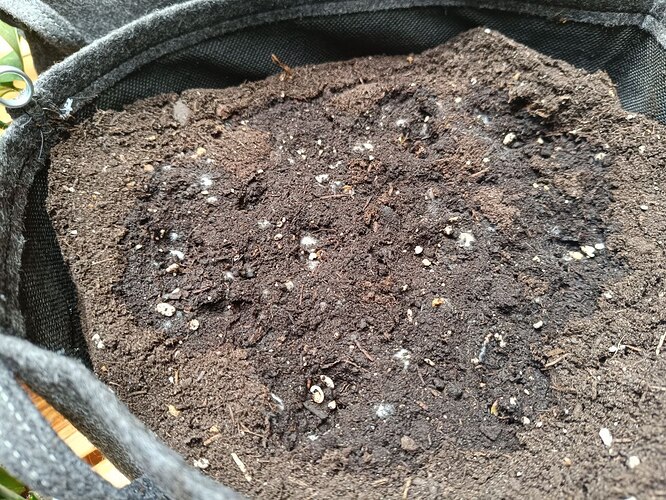 photo_2024-03-31_17-04-14