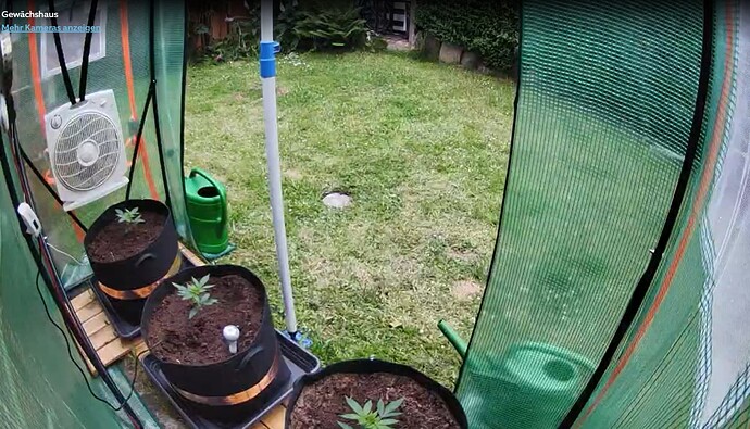 Growreport Bild 8