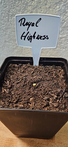 Growreport Bild 6