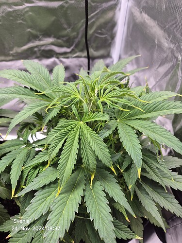 Growreport Bild 13