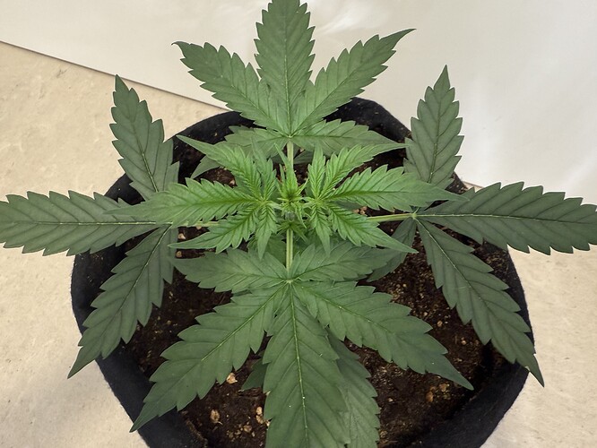 Growreport Bild 8