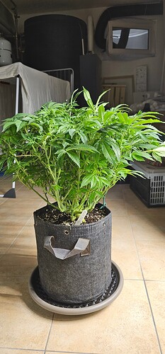 Growreport Bild 16