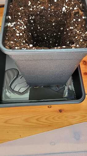 Growreport Bild 16