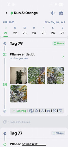 Growreport Bild 7