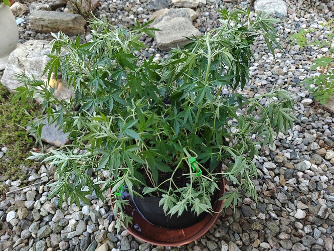 Growreport Bild 3