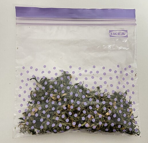 Growreport Bild 31