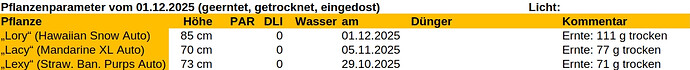 Growreport Bild 62