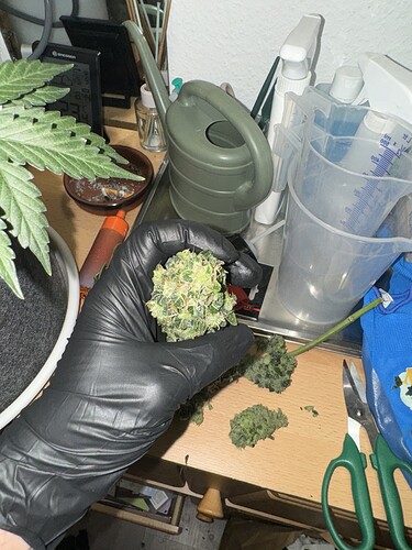 Growreport Bild 23