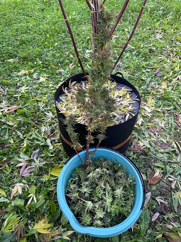 Growreport Bild 24