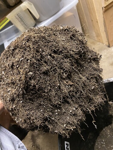 Growreport Bild 27