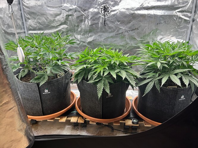 Growreport Bild 11
