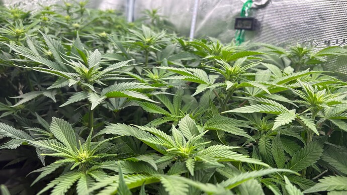 Foto 30.12.25, 13 41 18