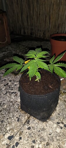 Growreport Bild 16