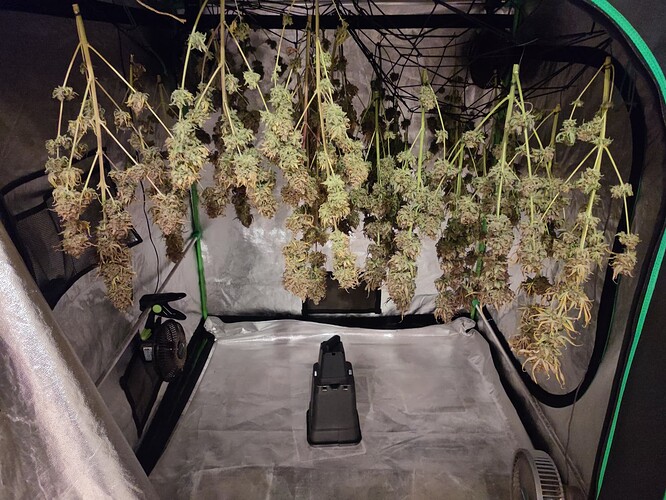 Growreport Bild 153
