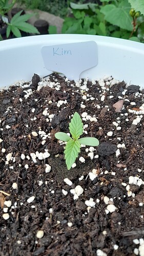 Growreport Bild 21