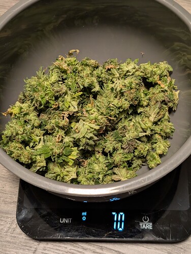 Growreport Bild 16