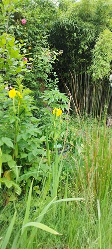 IMG_20240526_195409