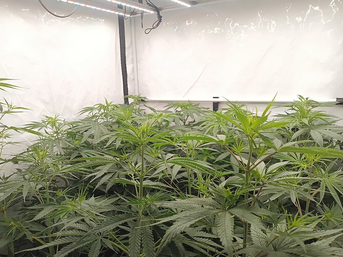 Growreport Bild 15