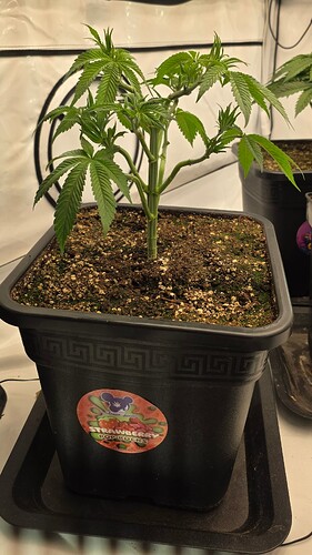 Growreport Bild 9