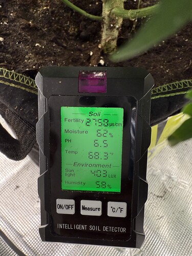 Growreport Bild 8