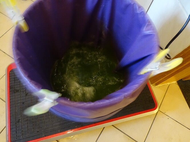 Growreport Bild 29