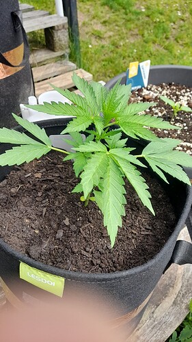 Growreport Bild 17