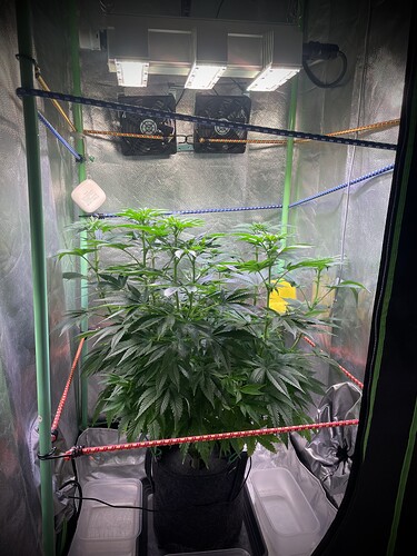 Growreport Bild 5