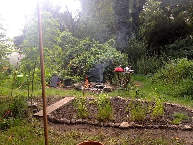 Growreport Bild 36