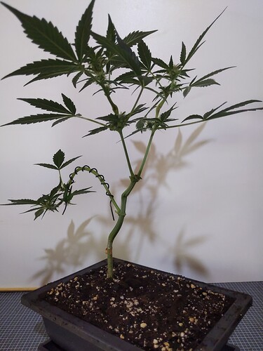 IMG_20240310_115809_562