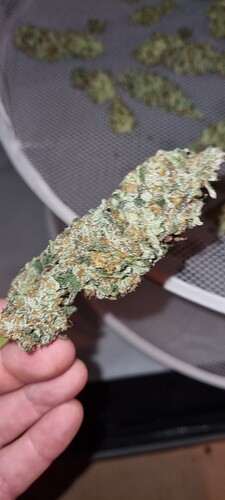 Growreport Bild 51