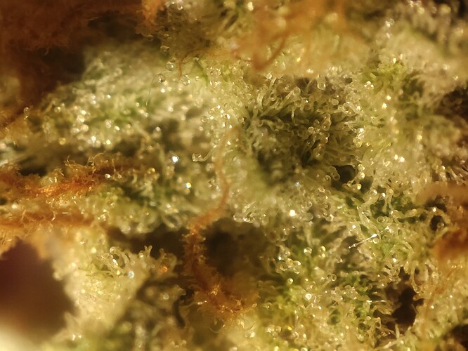 Growreport Bild 23
