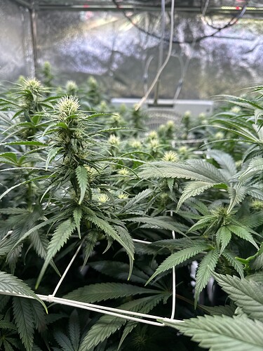 Growreport Bild 24
