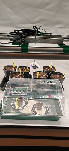 Growreport Bild 8