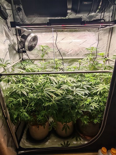 Growreport Bild 4