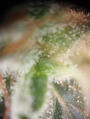 Growreport Bild 10