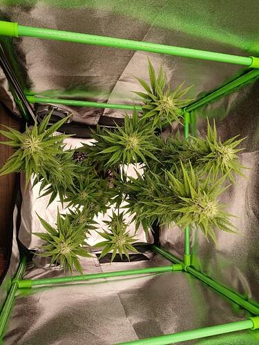 Growreport Bild 13