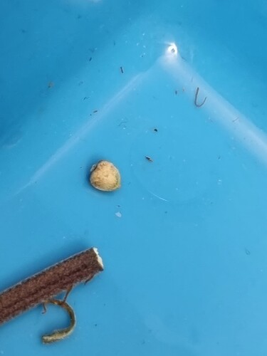 Growreport Bild 10