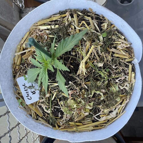 Growreport Bild 16