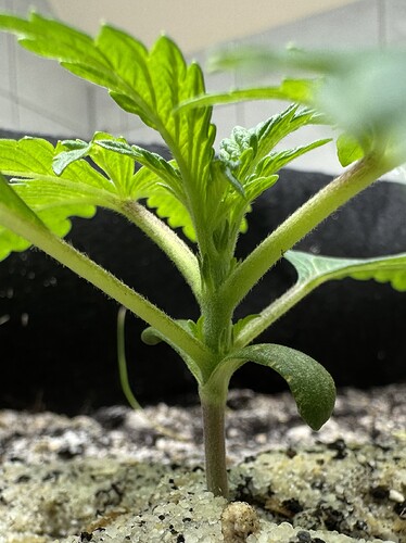Growreport Bild 8