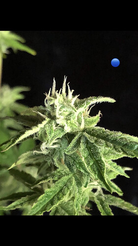 Growreport Bild 14