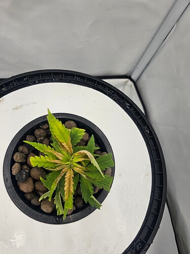 Growreport Bild 30