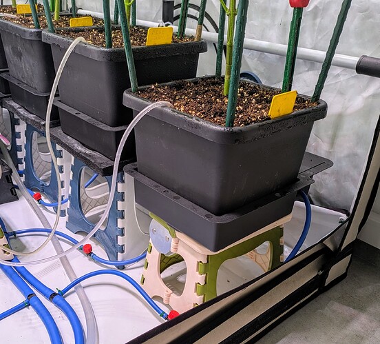 Growreport Bild 5