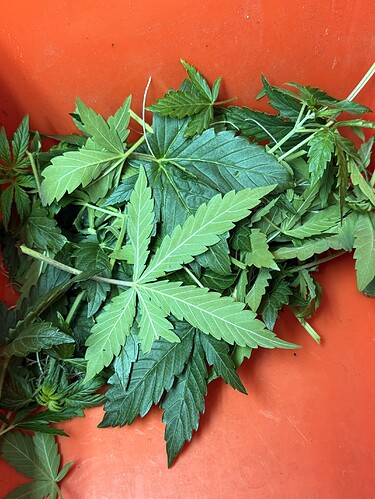 Growreport Bild 6