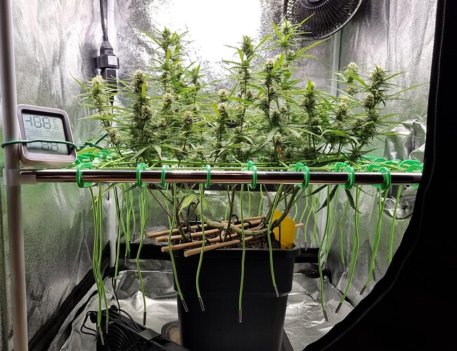 Growreport Bild 11