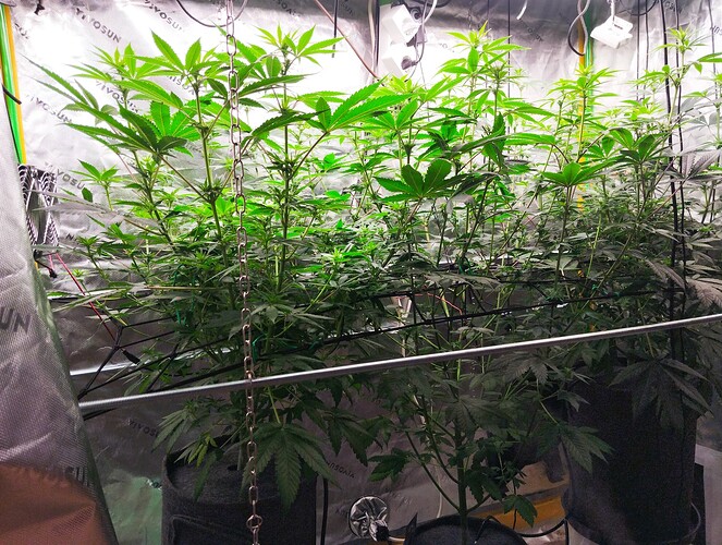 Growreport Bild 21