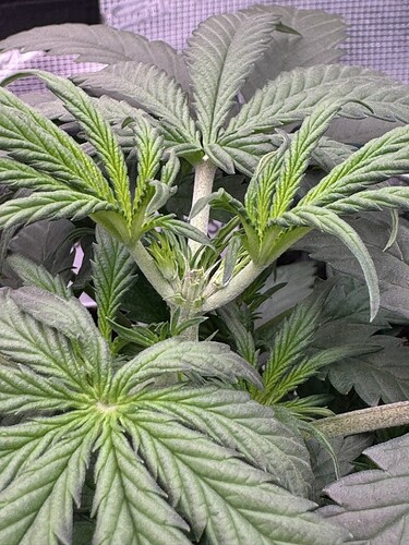 Growreport Bild 18