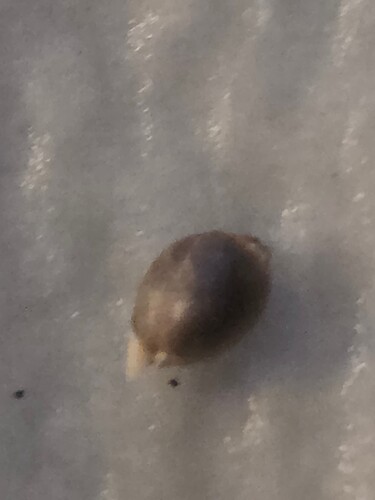 Growreport Bild 2