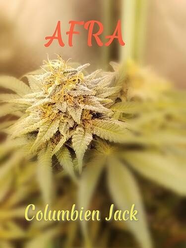 Growreport Bild 6