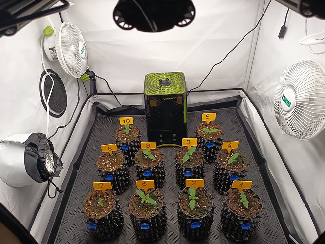 Growreport Bild 2