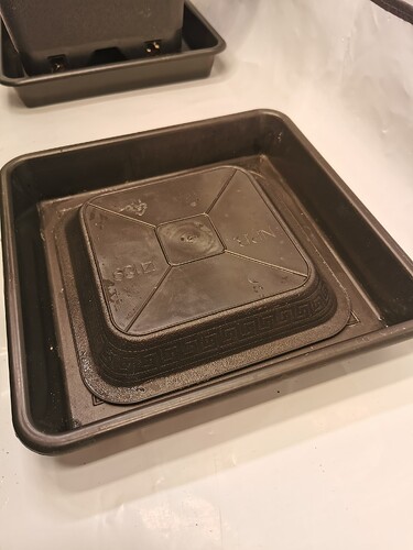 Growreport Bild 4